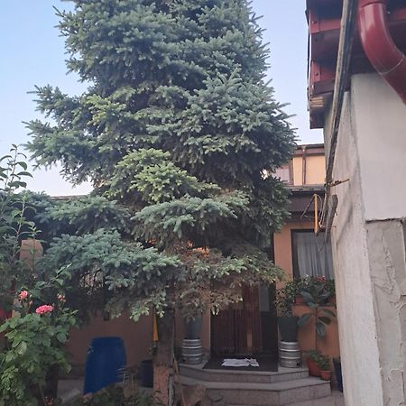 Appartement Casa Rusu à Galaţi Extérieur photo
