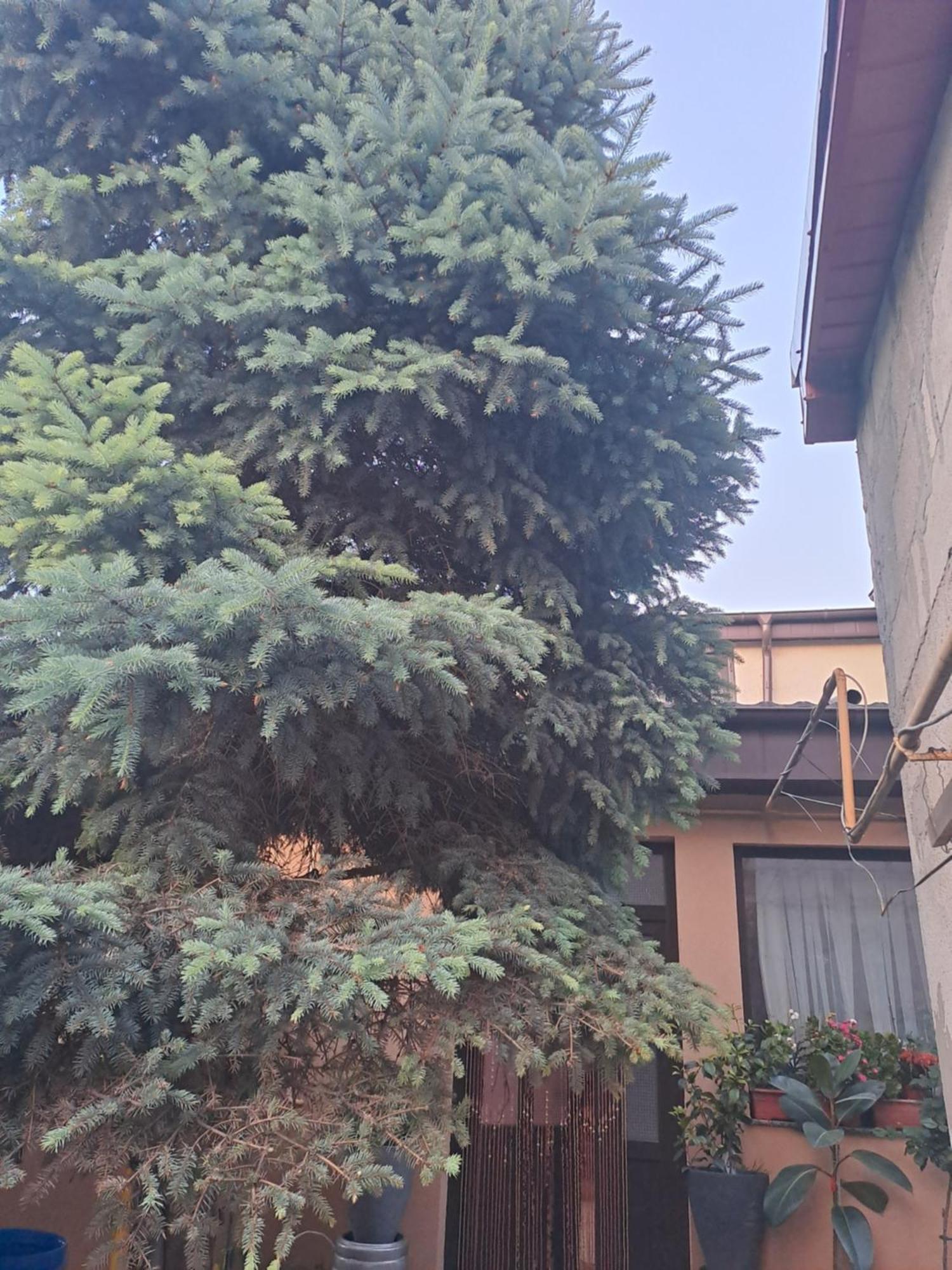 Appartement Casa Rusu à Galaţi Extérieur photo